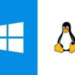 Windows vs. Linux: Which One Should I Choose and Why?