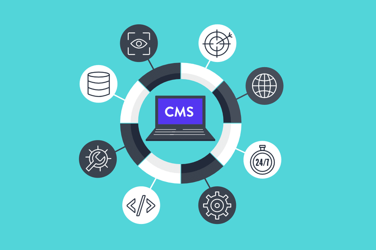 Pros and Cons of Most Used CMS in 2024