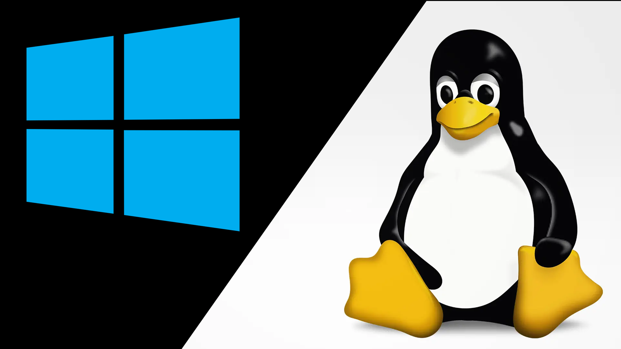 Windows vs Linux